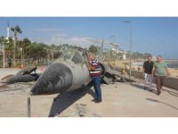 Mersin’in simgesi efsane savaş uçağı sahilden kaldırılıyor