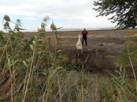 Kırıkhan’da sulama kanalına düşen eşeği itfaiye kurtardı