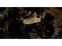 Kamyonetle çarpışan 16 yaşındaki motosiklet sürücüsü hayatını kaybetti