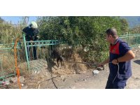 Demir korkuluğa sıkışıp mahsur kalan köpeği itfaiye kurtardı