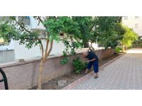 Dedektif gibi iz sürdü, çalınan telefonunun yerini 15 ay sonra buldu