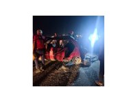 Mersin’de 1 kişinin öldüğü, 4 kişinin yaralandığı ve iki köpeğin telef olduğu trafik kazası kameraya yansıdı