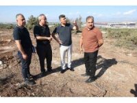 Akdeniz Belediyesinden sokak hayvanları için doğal yaşam alanı