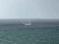 Alanya açıklarında oluşan hortum korkuttu