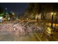 Alanya Belediyesi olumsuz hava şartlarına karşı teyakkuzda