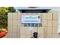 Osmaniye’de kaçak makaron operasyonunda 1 tutuklama