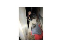 Sulama kanalına düşen anne köpek ve yavrularını itfaiye ekipleri kurtardı