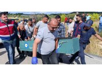 Antalya’da çöp kamyonunda korkunç cinayet: Mesai arkadaşını boğazından bıçaklayarak öldürdü