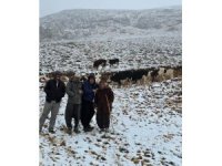 Aniden kar bastırınca yaylada mahsur kalan kadın kurtarıldı