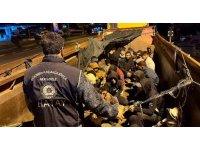 Hafriyat kamyonu kasasından moloz yerine göçmen çıktı