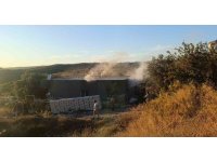 Yangında ev küle döndü, tek teselli kurtarılan muhabbet kuşları oldu