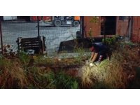 Su kanalına düşen kedi itfaiye ekiplerince kurtarıldı