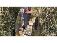 Göksu Deltası’nda mavi yengeç avcıları yakalandı