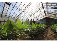 Doyran halkına obezite anlatıldı