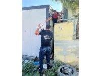 Duvar ile konteyner arasında sıkışan köpeği itfaiye kurtardı