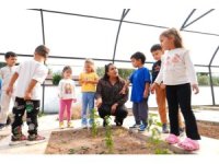 Doğa Çocuk Enstitüsü’nde hem öğreniyor hem de eğleniyorlar