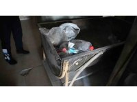 Hijyen kurallarına uymayan 2 fırın kapatıldı