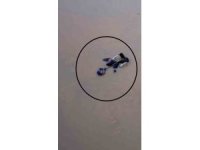 Suyla dolu alt geçitte ölümle burun buruna gelen engelli yaşlı kadını itfaiye kurtardı