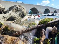 Ceyhan Nehri’ndeki kirlilik balıkları telef etti