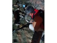 Ceyhan Nehri’ndeki kirlilikle ilgili numune alındı