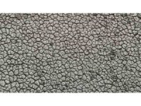 Kuraklığın izi: Seyhan Baraj Gölü’nde sular çekilince toprak çatladı