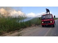 Dökülen çöpler kargıların yanmasına neden oldu