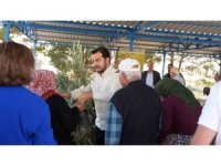 Alanya’daki yangın bölgesinde 3 bin 400 zeytin fidanı bahçe sahiplerine dağıtıldı