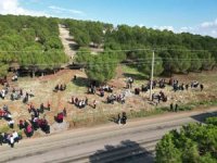 Onikişubat Belediyesi’nden 300 öğrenciyle orman temizliği