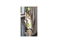 Ağaçta asılı kalan şahsı itfaiye kurtardı