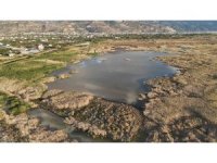 Kuraklığın etkisiyle çölü aratmaz hale gelen Milleyha’da yağışlarla birlikte kuşların sesleri yankılanmaya başladı