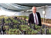 Kepez’den kurakçıl peyzaj hamlesi