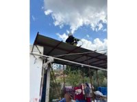 Hatay’da eve giren 2 yılanı itfaiye yakaladı