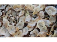 Mersin’de incir sezonu sona erdi, üreticisinin yüzü güldü