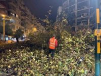 Belediye ekipleri, yağışın oluşturduğu olumsuzluklara 81 araç ve 323 personelle hızla müdahale etti